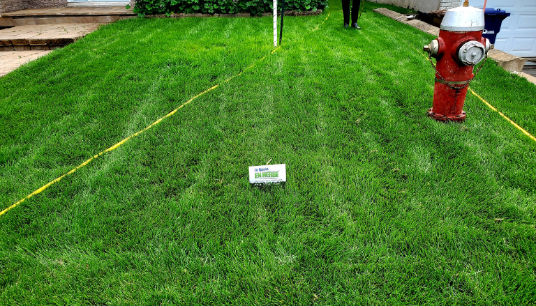 Lawn fertilization and treatment service