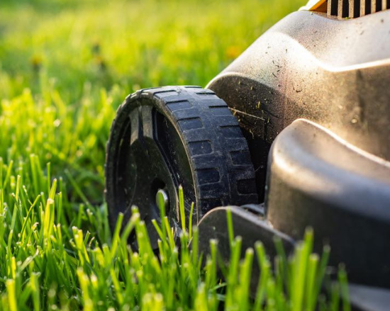 Everything you need to know about mowing your lawn