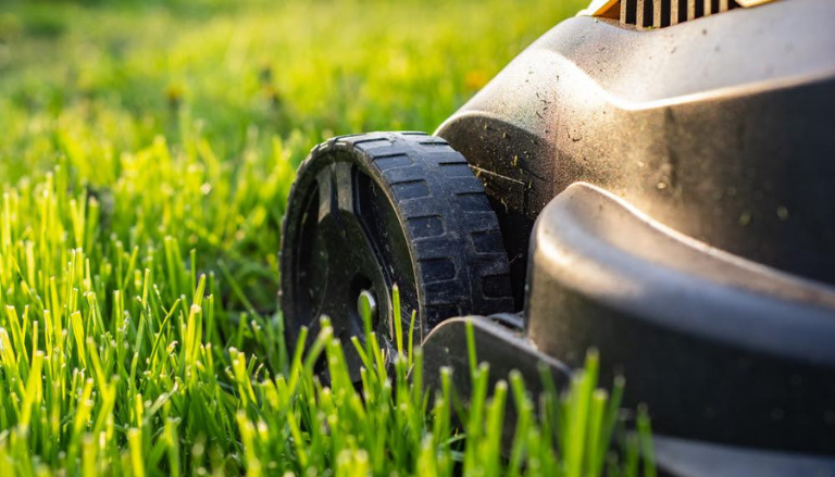 Guide Everything you need to know about mowing your lawn